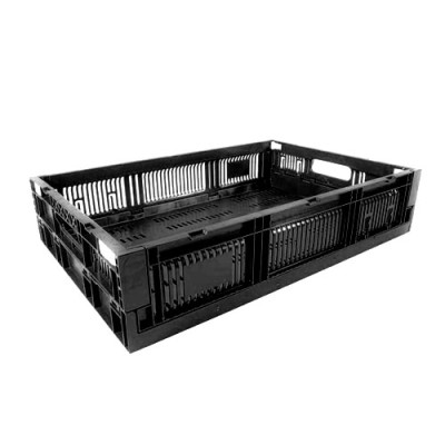 Caja CPR Colapsable 13 (R)