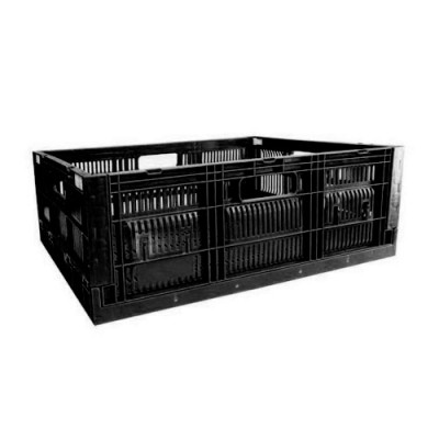 Caja CPR Colapsable 21 (R)