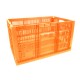 Caja CPR Colapsable 34