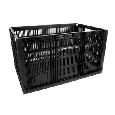 Caja CPR Colapsable 34 (R)