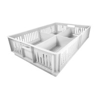 Caja para pollitos con división calada